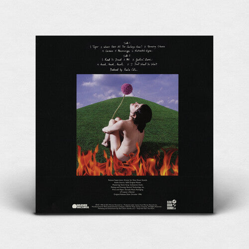 Paula Cole - This Fire