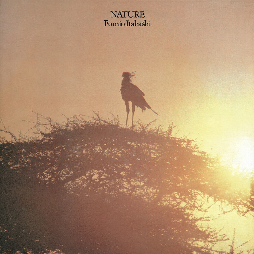 Fumio Itabashi - Nature (LP)