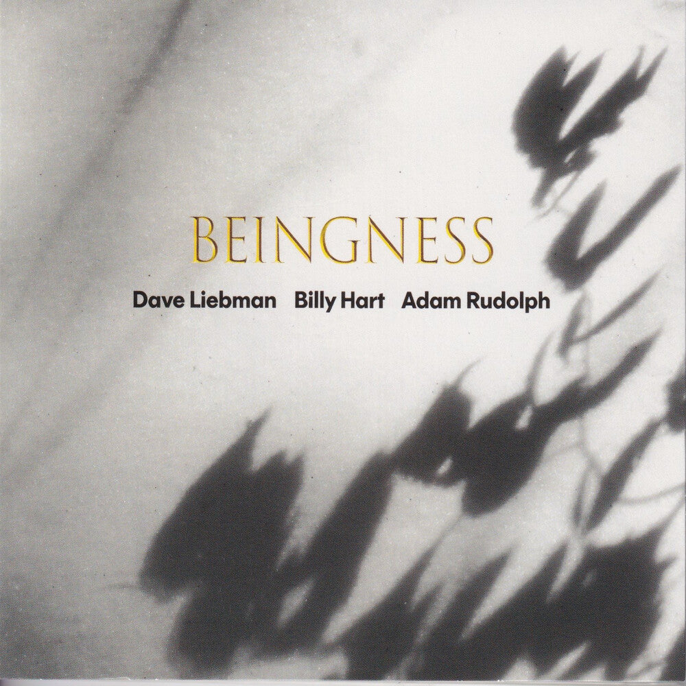 Dave Leibman / Hart,Billy / Rudolph,Adam - Beingness (Colored Vinyl) (Limited Edition) (180 Gram)