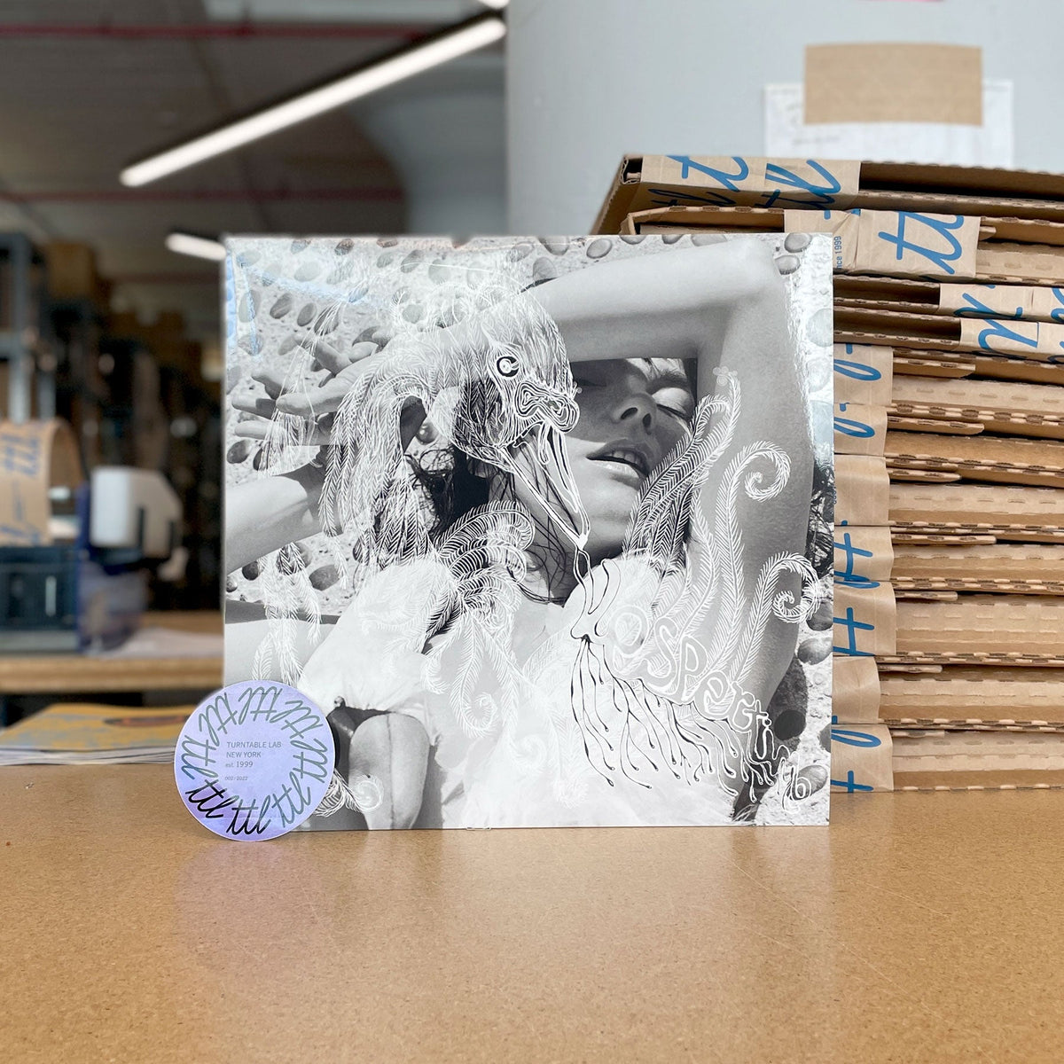 Bjork: Vespertine Vinyl 2LP