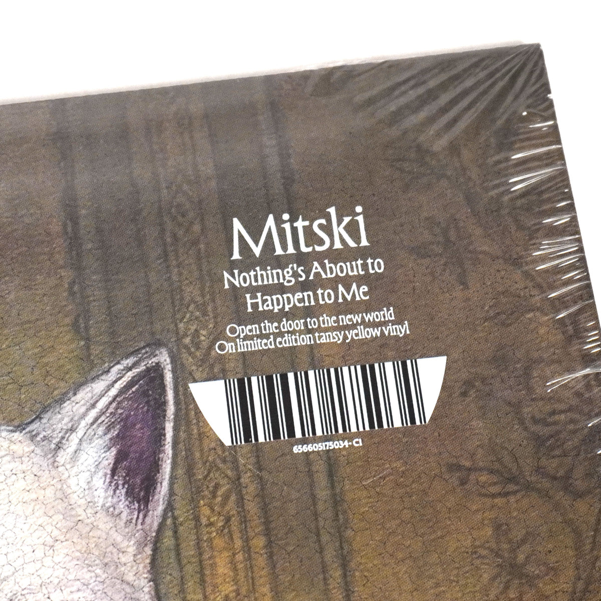 Mitski: Nothing's About to Happen to Me (Indie Exclusive Colored Vinyl)