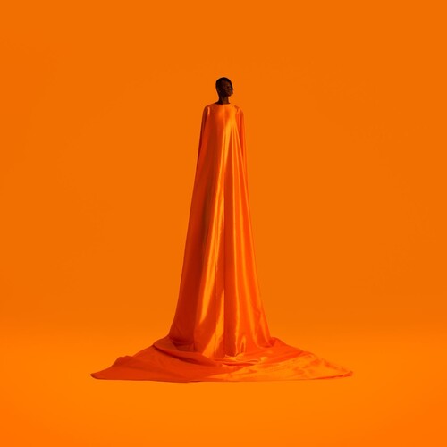 Wayne Snow - Figurine