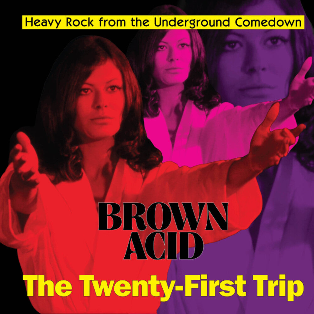 Various Artists - Brown Acid - The Twenty-First Trip (LP)