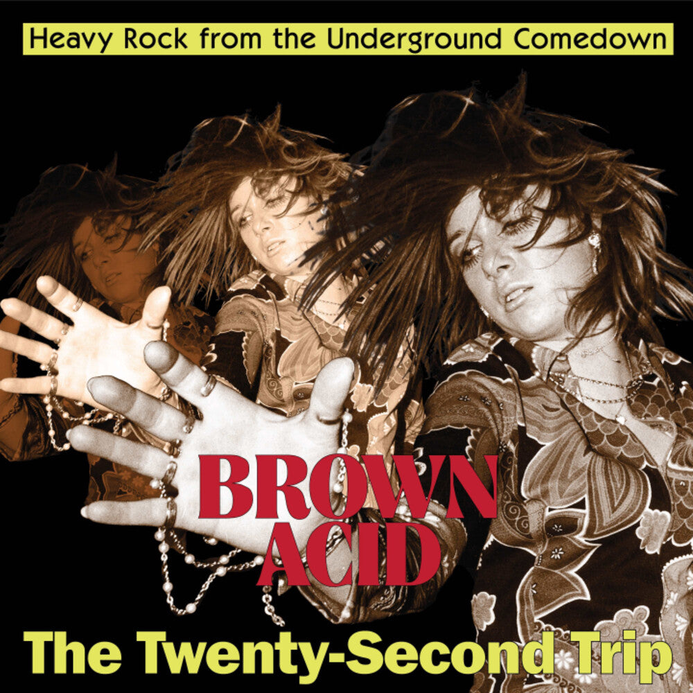 Brown Acid - Twenty-Second Trip / Various - Brown Acid - The Twenty-Second Trip (Various Artists) (LP)