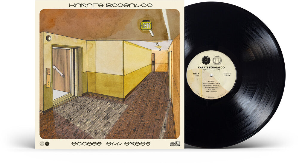 [PRE-ORDER] Karate Boogaloo - Access All Areas (LP)