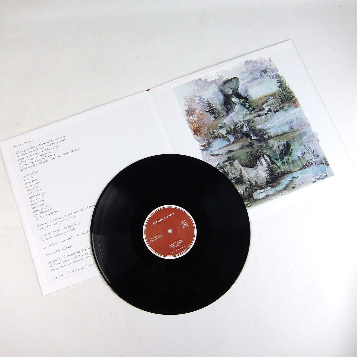 Bon Iver: Bon Iver, Bon Iver