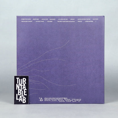Quadeca: Vanisher, Horizon Scraper (Sparkle Colored Vinyl) Vinyl 2LP - Turntable Lab Exclusive